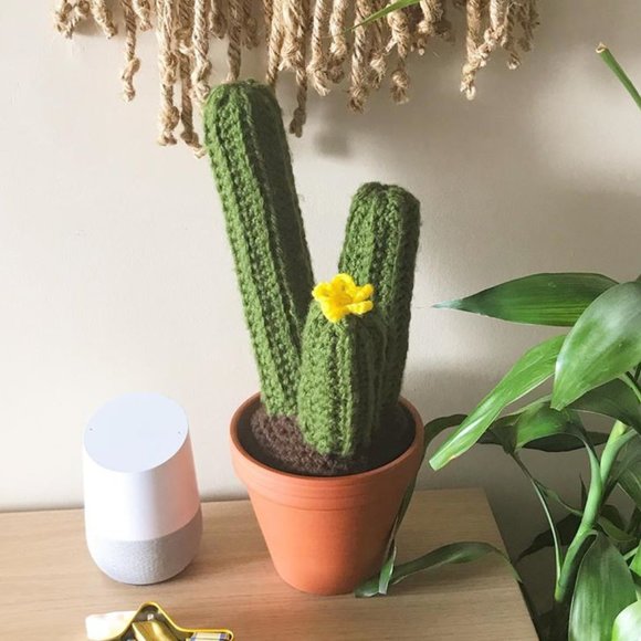 Sandy P Sr. - Three Column Stem Cactus in Planter - Picture 1 of 5